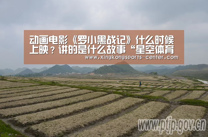 动画电影《罗小黑战记》什么时候上映?讲的是什么故事“星空体育直播”(图2) 星空体育直播